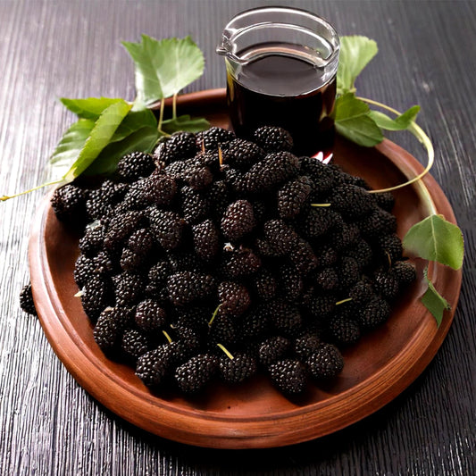 Katkısız Doğal Karadut Pekmezi 620 gr
